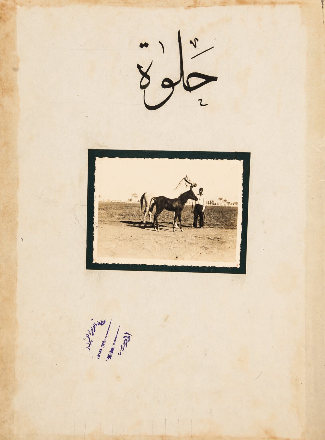 الفرسة حلوة