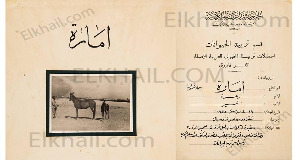 امارة الشقراء