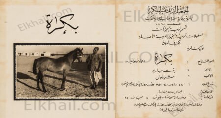 بُكْرَة