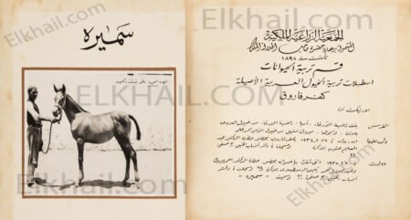 الفرسة سميرة