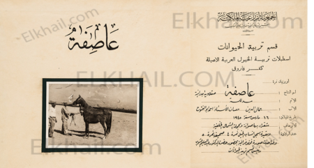 الفرسة عاصفة