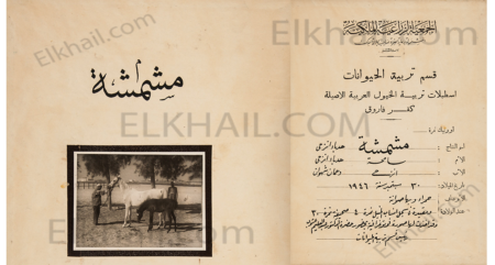 الفرسة مشمشية