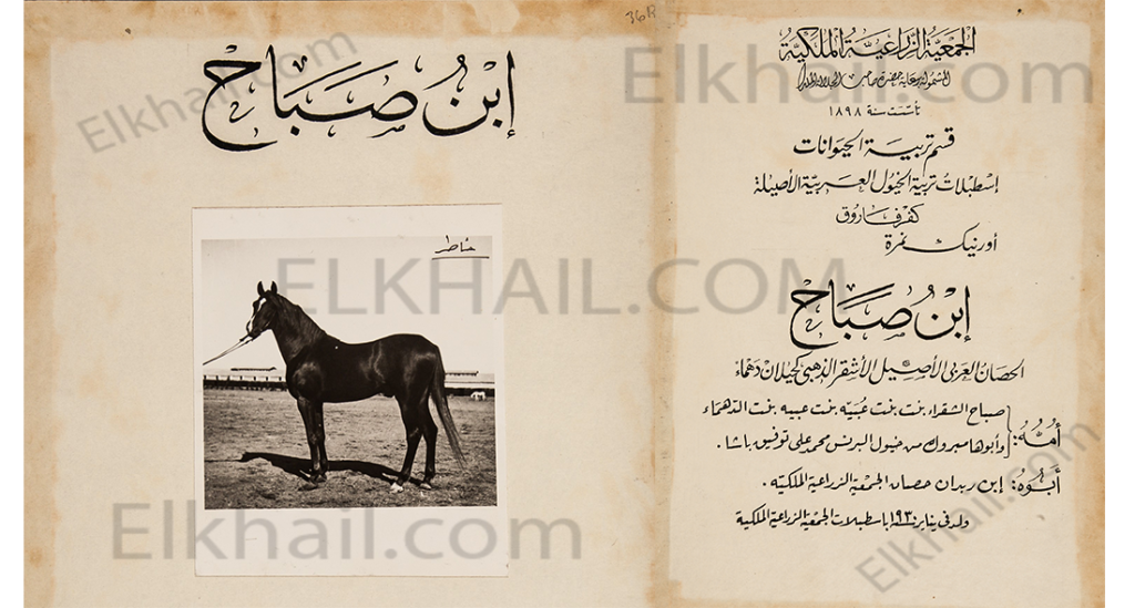 ابن صباح