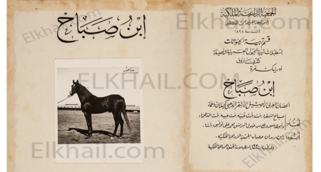 ابن صباح