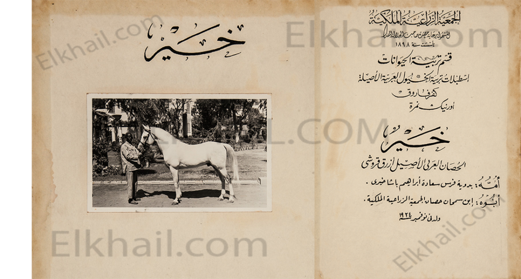 الحصان خير