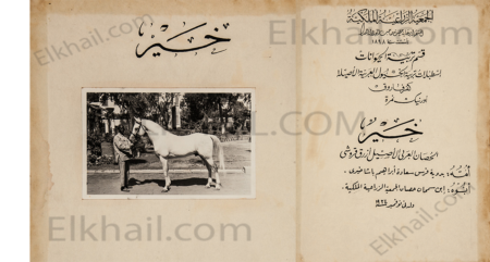 الحصان خير