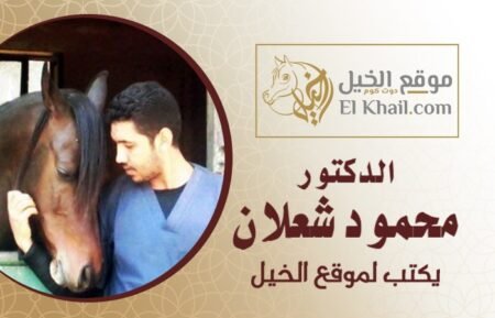 د / شعلان