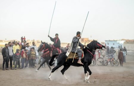 مرماح الخيل
