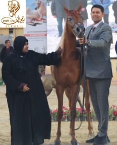 حلوه البوادى