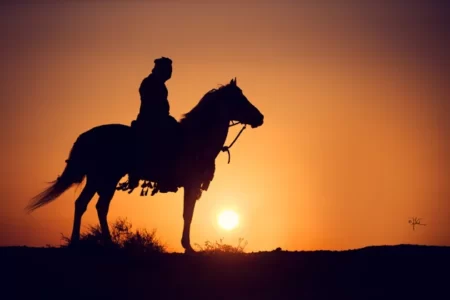 رباط الخيل