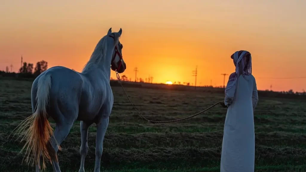 مربى الخيول