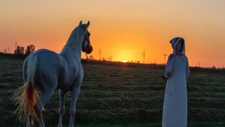 مربى الخيول