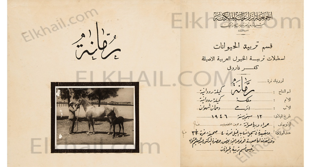 رمانة