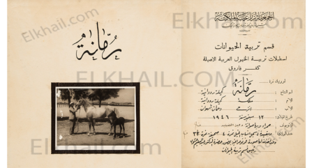 رمانة