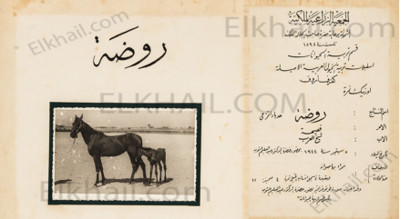 روضة