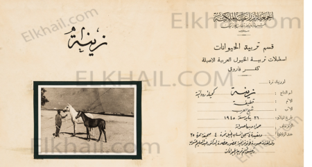 زينة