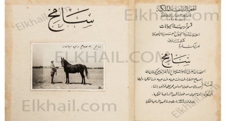 سامح