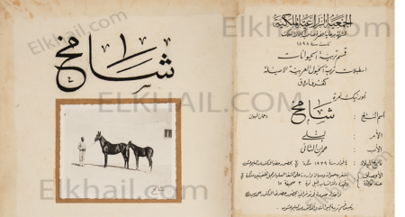 شامخ