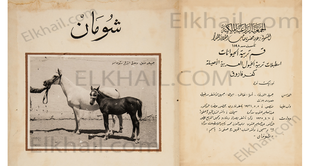 شومان