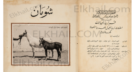 شومان