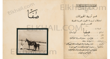 صفا