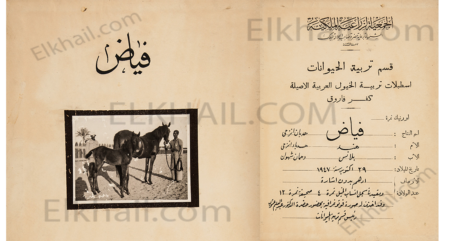 فياض